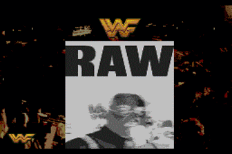 WWF超级摔角3(世界)